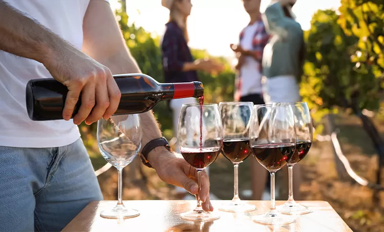 Dégustation de vin en groupe, Courthézon, Famille Jamet