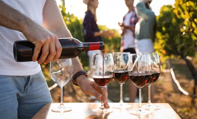 Dégustation de vin en groupe, Courthézon, Famille Jamet